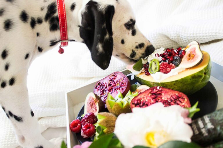 7+ Best Homemade Dog Food Recipes for 2025 (Vet-Approved & Loved by Pups)