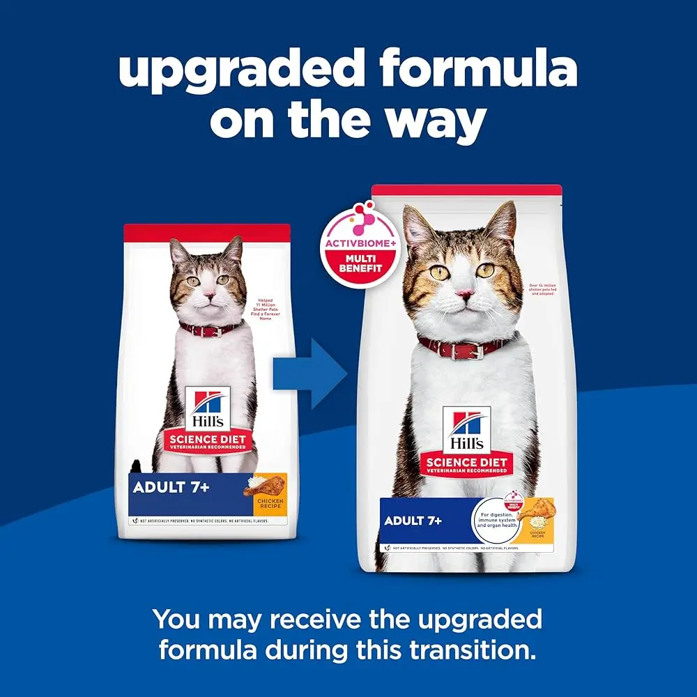 hills-science-diet-dog-food-2025
The 10 Best Dog Food Brands of 2025
