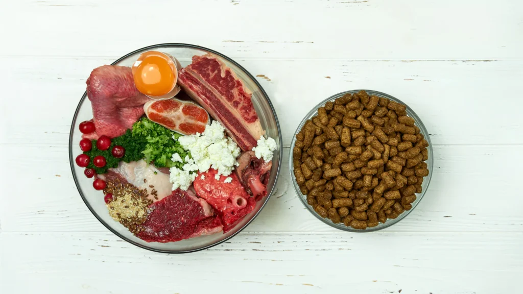 Healthy dog food in bowl from The 10 Best Dog Food Brands of 2025, showing balanced nutrition for dogs.